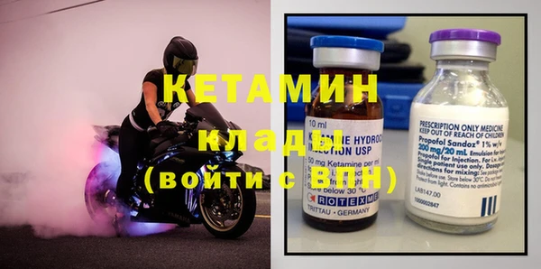 шишки Абаза
