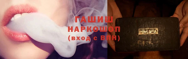 шишки Абаза