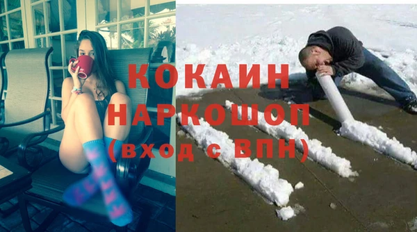 шишки Абаза