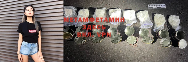 шишки Абаза