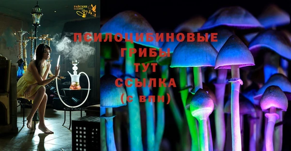 шишки Абаза