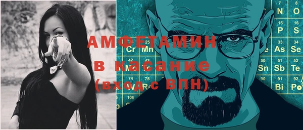 шишки Абаза