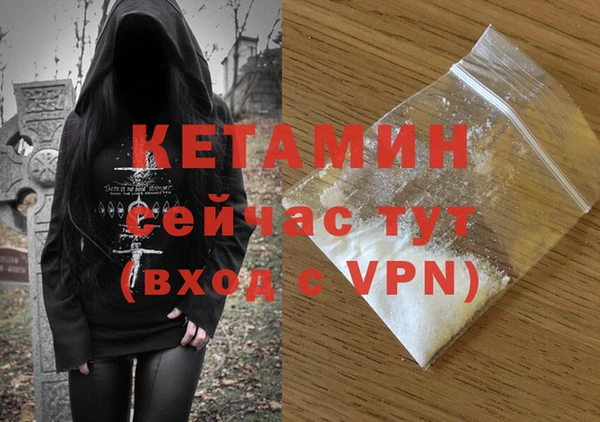 шишки Абаза